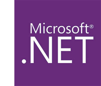 Sybiz Vision and Microsoft .NET