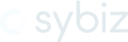 Sybiz Software Sybiz Vision